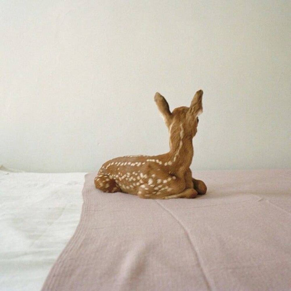 Meet your Posher, Taylor